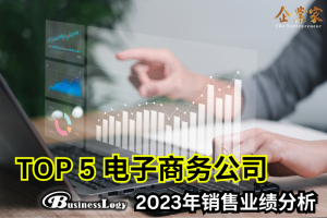 TOP 5 电子商务公司销售业绩分析 ~ SVO WELLOUS 遥遥领先