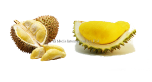 企管思想 | 果王法则