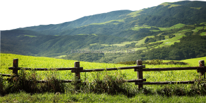 心灵辅导室 | 出生于山脚，离开于山峰