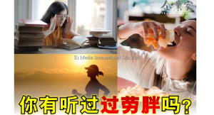 营养扫盲 |  过劳胖
