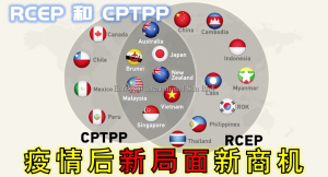 论商韬 | RCEP 和 CPTPP 的到来打开了疫情后新局面新商机