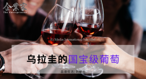 品道优活 | 乌拉圭的国宝级葡萄