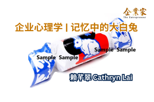 企业心理学 | 记忆中的大白兔